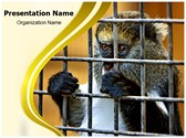 Monkey in Cage Editable Template