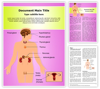 Endocrine Editable Word Template