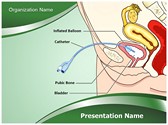 Catheter Female Editable PowerPoint Template