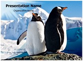 Penguins Editable PowerPoint Template