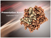 Thrombin blood clotting