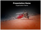 Malaria Editable PowerPoint Template