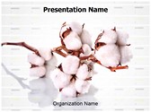 Raw Cotton Editable PowerPoint Template