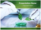 Plant study Editable PowerPoint Template