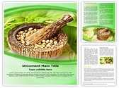 Mortar and Pestle Template