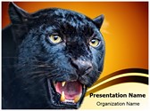 Black Leopard Template