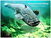 Catfish Editable PowerPoint Template