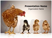 Hen with Chicks Editable PowerPoint Template