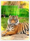 Bengal Tiger Editable Template