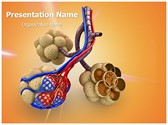 Alveoli in Lungs Editable PowerPoint Template