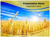 Wheat Field Editable PowerPoint Template