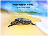 Turtle Beach Editable PowerPoint Template