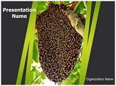 Beehive Editable PowerPoint Template