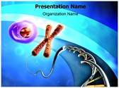 Chromosome Editable Template