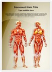 Men and Women Muscular Anatomy Editable Template