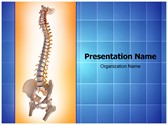 Human Spinal Editable PowerPoint Template