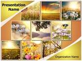 Summer Flower Collages Template