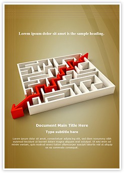 Solved Maze Puzzle