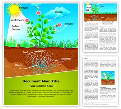 Plant Photosynthesis Editable Word Template
