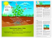 Plant Photosynthesis Template