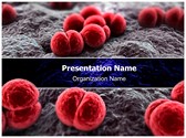 Meningococcus Editable PowerPoint Template