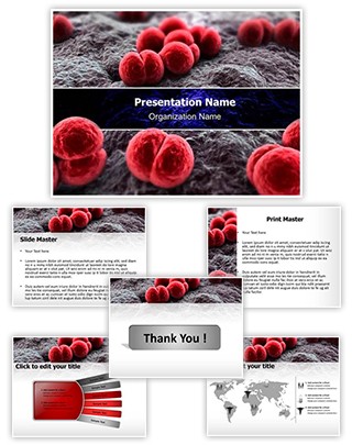 Meningococcus