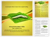 Silkworm Template