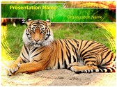 Bengal Tiger Editable PowerPoint Template