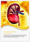 Human Kidney Editable Template