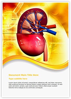 Human Kidney