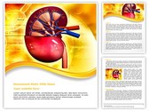 Human Kidney Editable PowerPoint Template