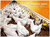 Poultry Farm Editable PowerPoint Template