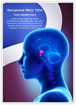 Brain Pituitary Gland