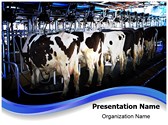 Cow Milking Factory Template