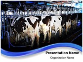 Cow Milking Factory Editable PowerPoint Template