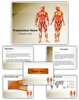 Men And Women Muscular Anatomy Editable PowerPoint Template