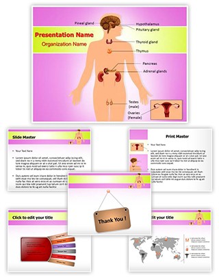 Endocrine