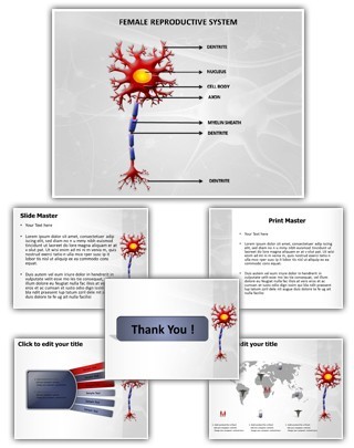 Neuron Diagram Editable PowerPoint Template