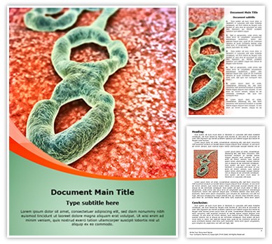 Ebola Virus Editable Word Template