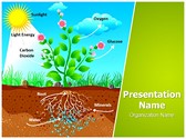 Plant Photosynthesis Editable PowerPoint Template