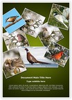 Ornithology Collage Editable Template