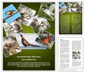 Ornithology Collage Editable PowerPoint Template