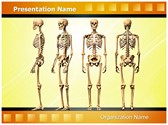 Human Skeleton Editable Template