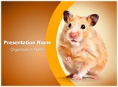 Hamster Editable Template