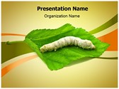 Silkworm Editable Template