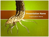 Water Larva Editable PowerPoint Template