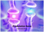 Active Receptor Medical Editable PowerPoint Template