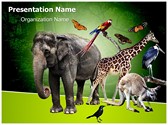 Zoology Editable Template