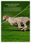 Cheetah Editable Template