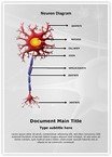 Neuron Diagram Editable Template